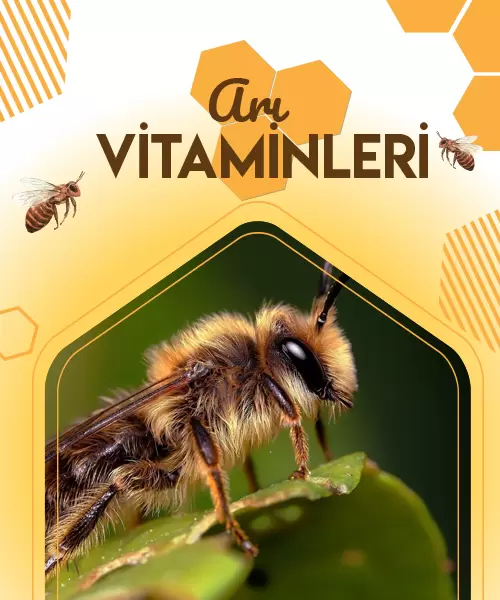 Beeneral Arılar İçin Mineral (10'lu Paket)