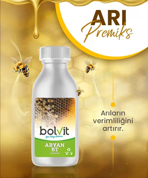 Bolvit Aryan Besin Takviyesi 0.5 LT