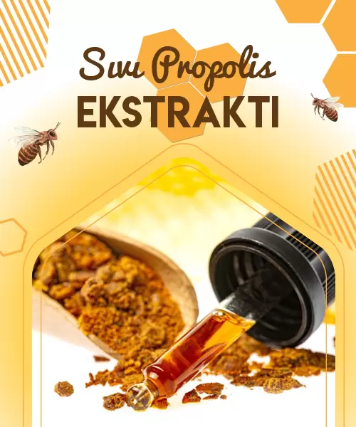 Doğal Propolis