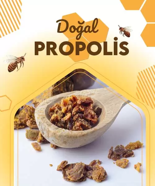 Doğal Propolis