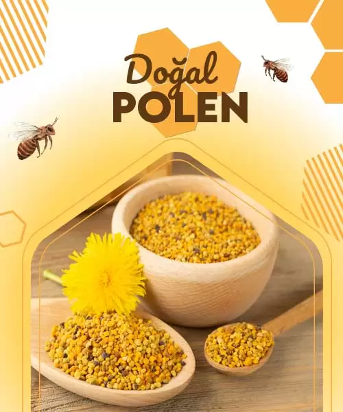 Polen Nedir ?