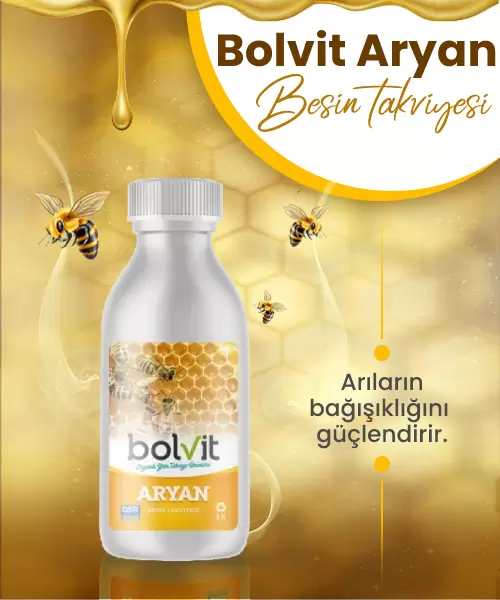 Bolvit Aryan Besin Takviyesi