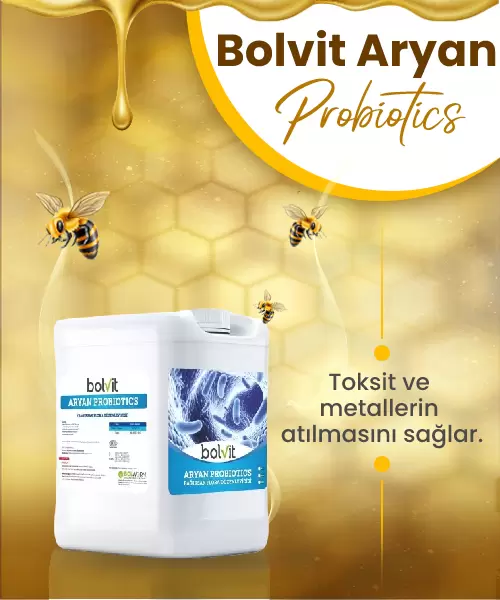 Bolvit Aryan Probiotics Bağırsak Flora Düzenleyici 5 LT