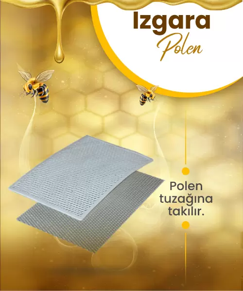 Polen Izgarası