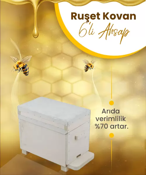 ruset-kovan-6-cerceveli-ahsap