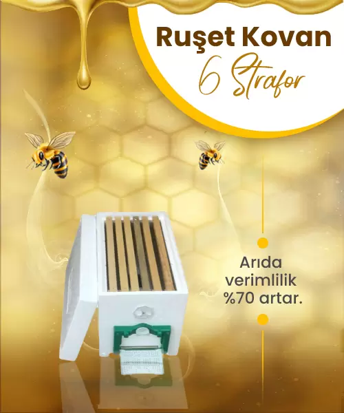 Ruşet Kovan 6 Çerçeveli Strafor