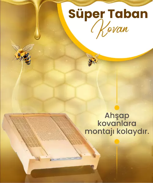 Süper Kovan Taban