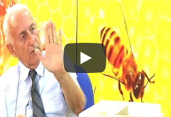 13.17.2017 Köyde Arıcılık Bölüm 2