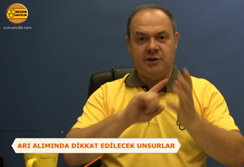 Arı Alırken Dikkat Edilmesi Gereken Unsurlar