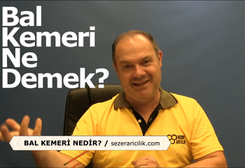 Bal Kemeri Nedir?