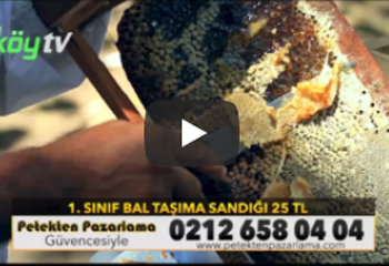 Bal  Taşıma Sandığı