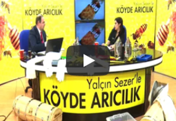 Köyde Arıcılık Bölüm 2 