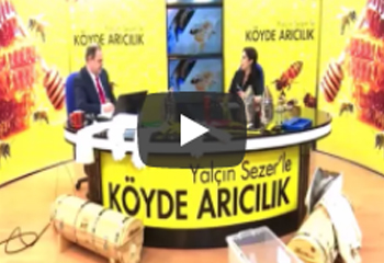 Köyde Arıcılık Bölüm 1 