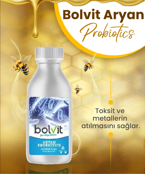 Bolvit Aryan Probiotics Bağırsak Flora Düzenleyici